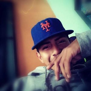 Meet your Posher, Darwin